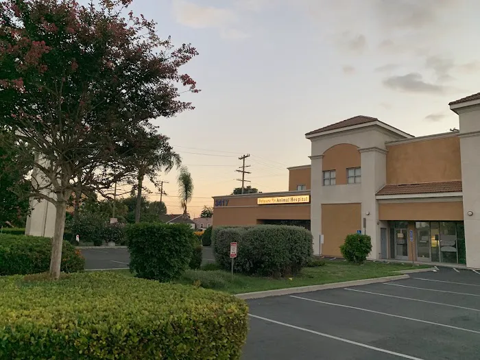 Pet Care Animal Hospital Picture 5