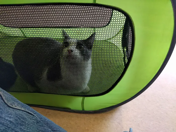 Pet Care Animal Hospital Picture 8