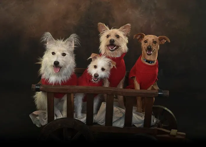 Smith Veterinary Hospital Picture 6