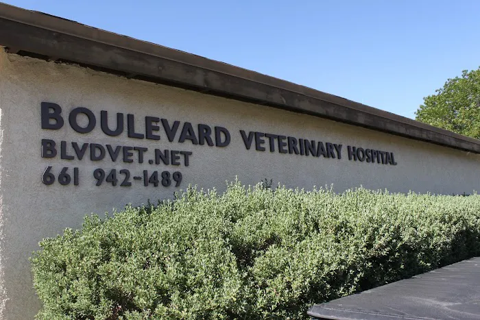 Boulevard Veterinary Hospital Picture 1