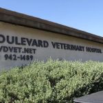 Boulevard Veterinary Hospital