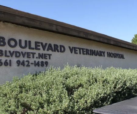 Boulevard Veterinary Hospital