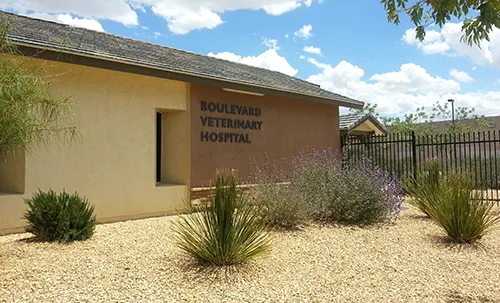 Boulevard Veterinary Hospital Picture 7