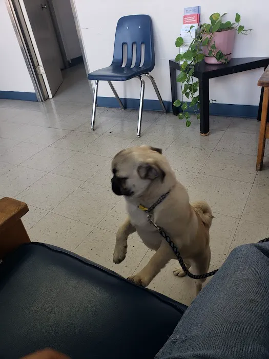 Southeast Pet Hospital Picture 6