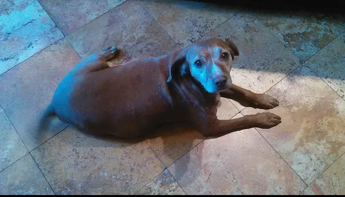 Southeast Pet Hospital Picture 8