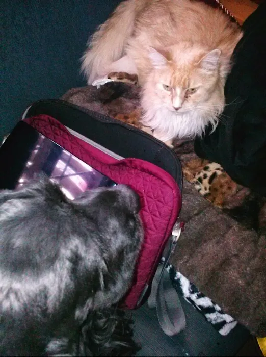 Southeast Pet Hospital Picture 9