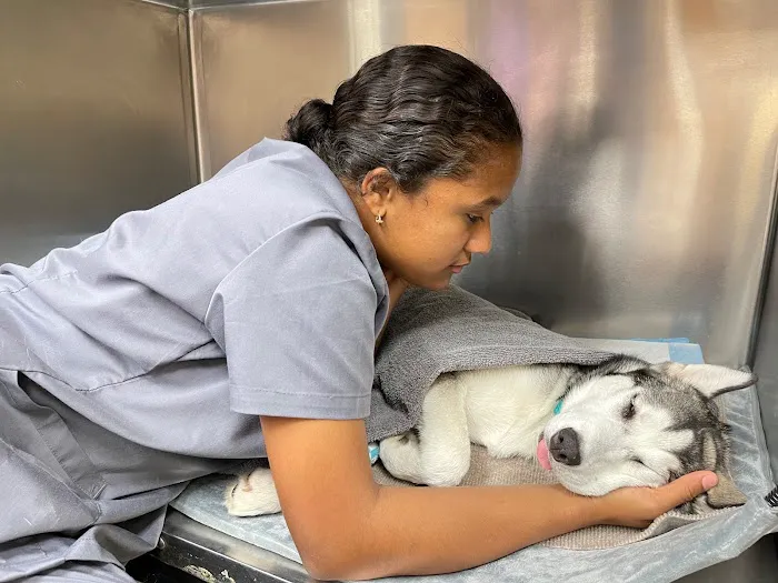 VetCheck Animal Hospital Picture 5