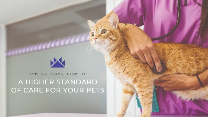 Imperial Animal Hospital Picture 4