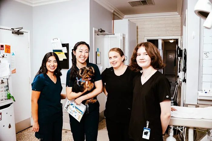 Imperial Animal Hospital Picture 5