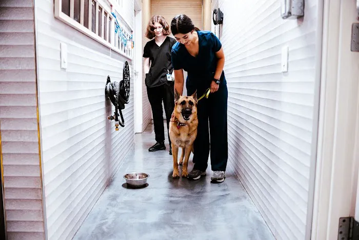 Imperial Animal Hospital Picture 7