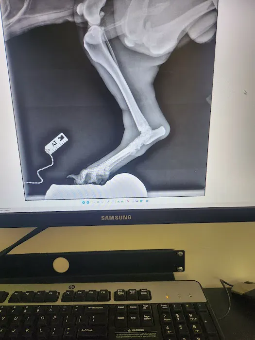 Animal Hospital Santa Fe Picture 5