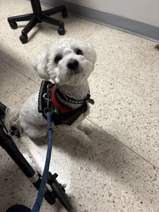 Magnolia Animal Hospital Picture 4