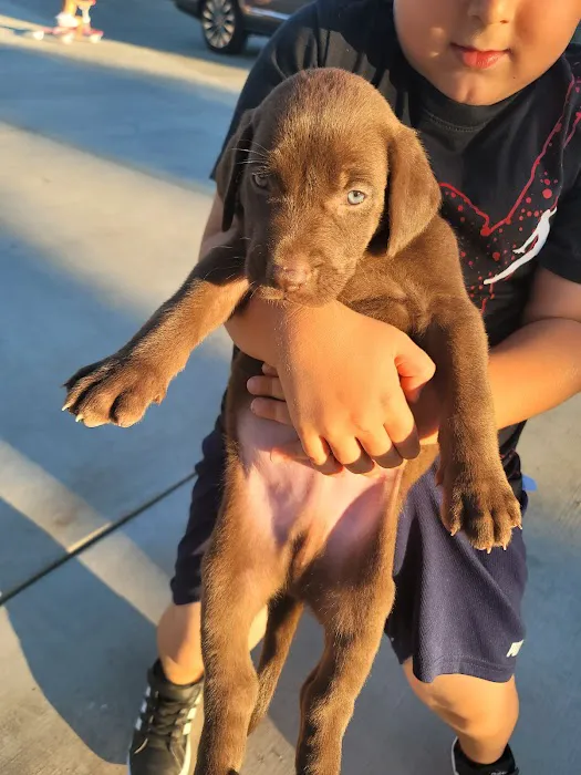 Blue Cross Veterinary Hospital Picture 3