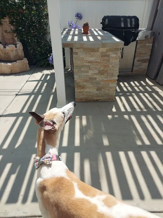 Blue Cross Veterinary Hospital Picture 2