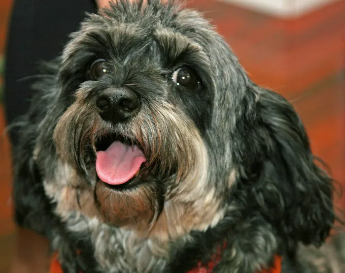 Blue Cross Veterinary Hospital Picture 5