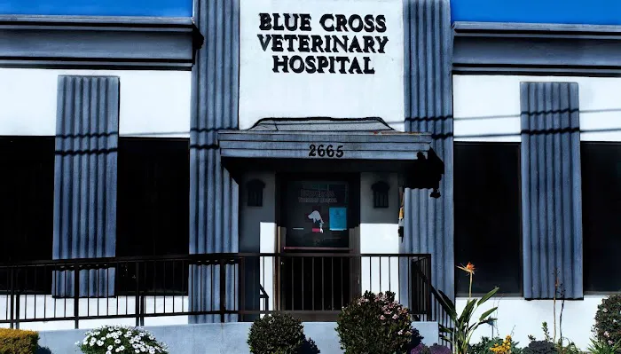 Blue Cross Veterinary Hospital Picture 7