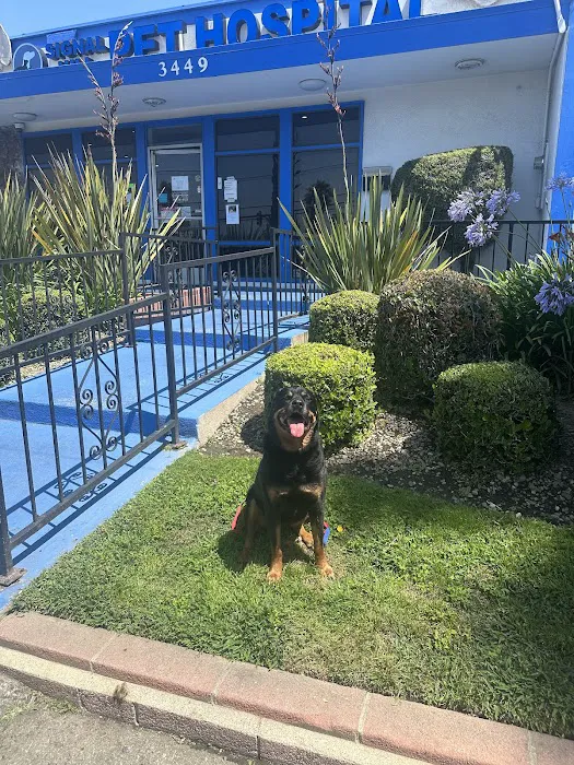 Signal Hill Pet Hospital Picture 1