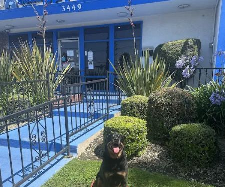 Signal Hill Pet Hospital