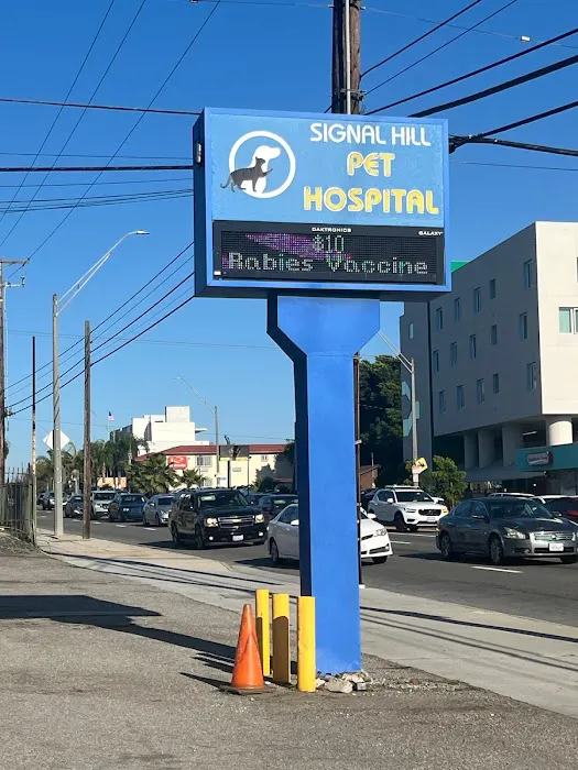 Signal Hill Pet Hospital Picture 7