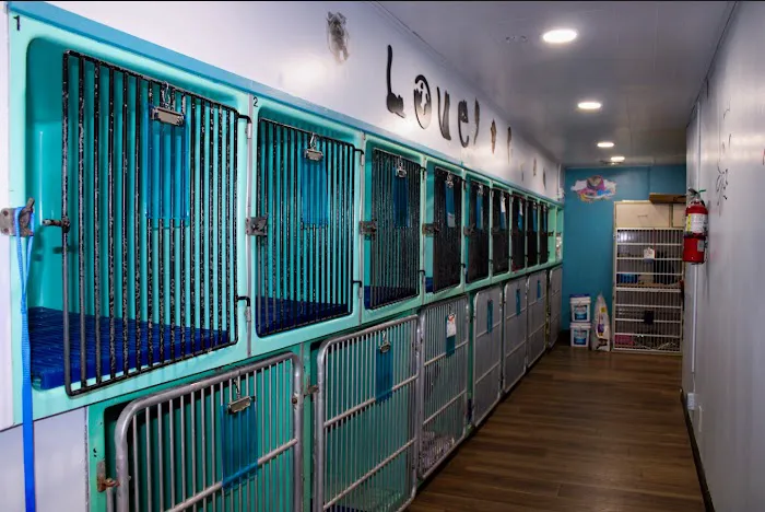 Signal Hill Pet Hospital Picture 9