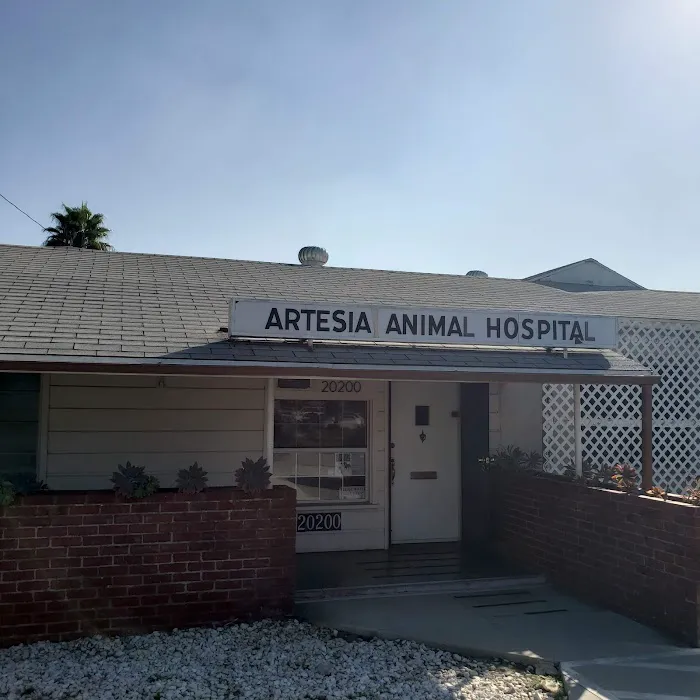 Artesia Animal Hospital Picture 2