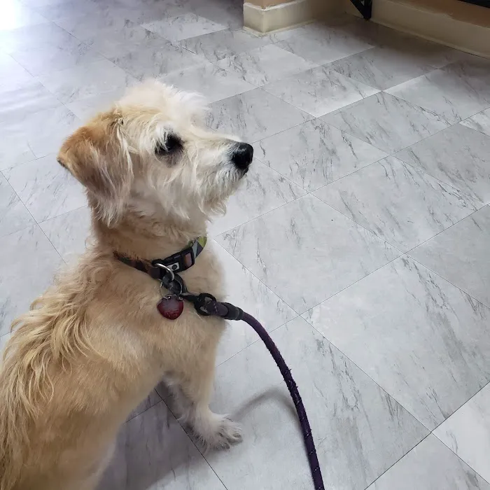 Artesia Animal Hospital Picture 5