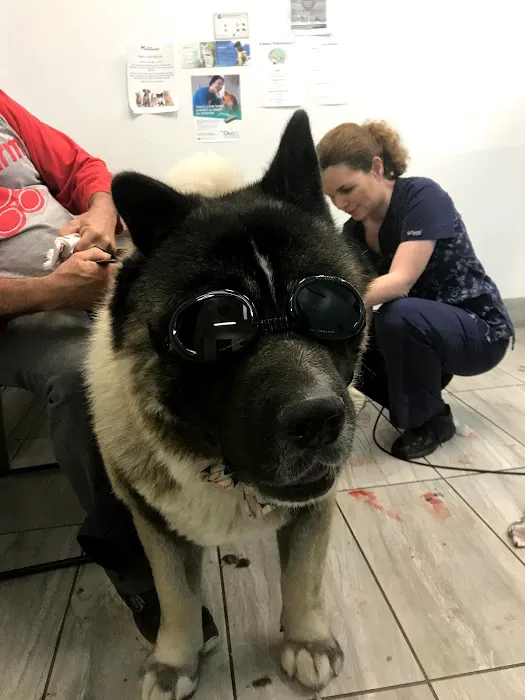 Los Coyotes Pet Hospital Picture 6