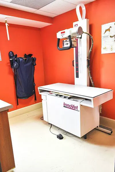 Bloomfield Animal Hospital Picture 2