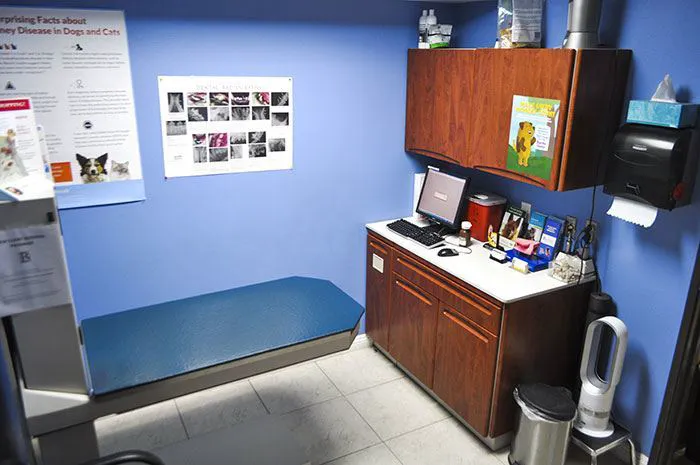 Bloomfield Animal Hospital Picture 4