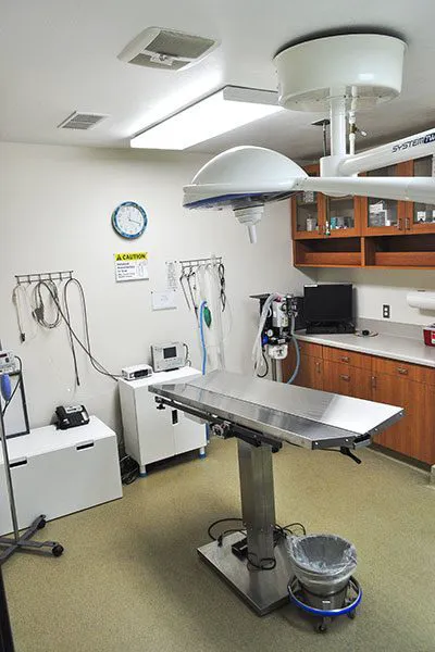 Bloomfield Animal Hospital Picture 6