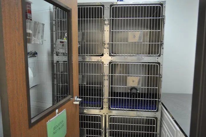 Bloomfield Animal Hospital Picture 10