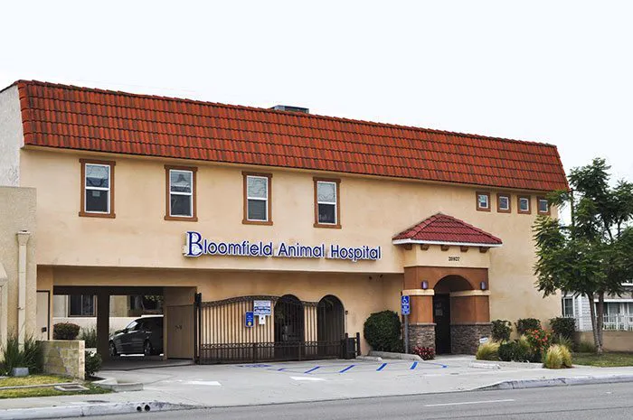 Bloomfield Animal Hospital Picture 7