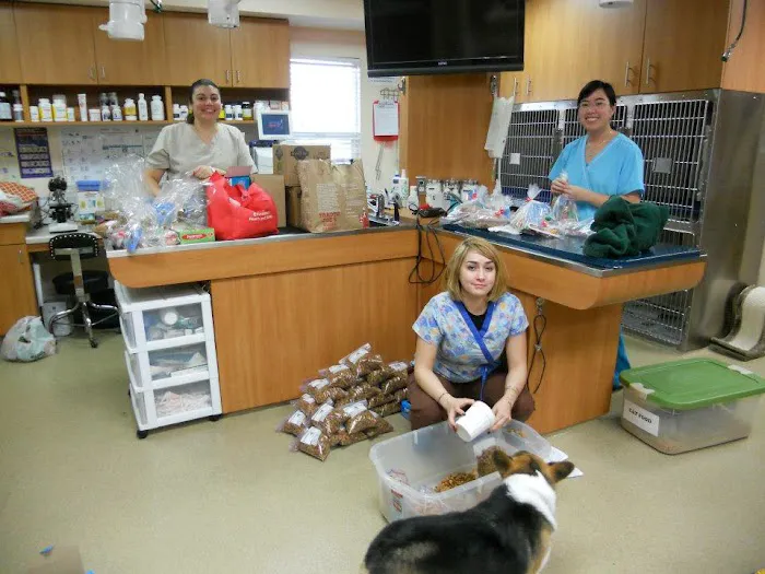Bloomfield Animal Hospital Picture 8