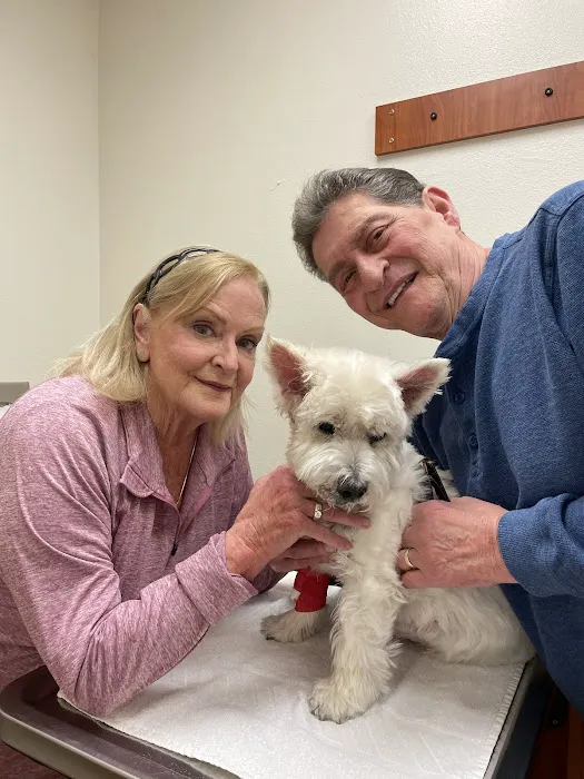 Freckles and Friends Pet Clinic Picture 7