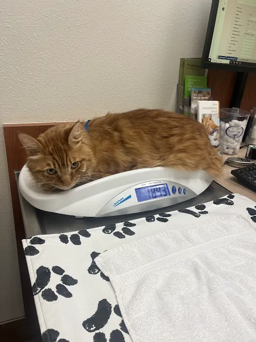 Freckles and Friends Pet Clinic Picture 8