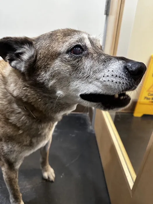 Primary Care Animal Hospital Picture 2
