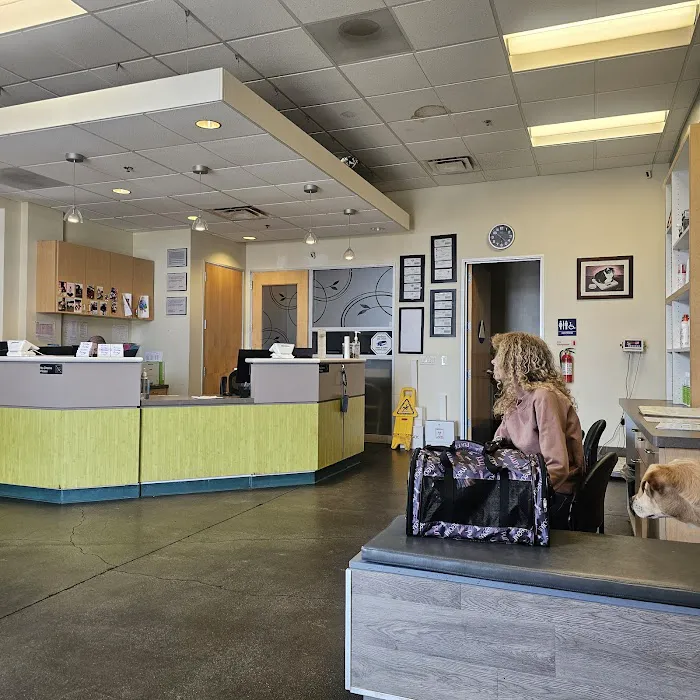 Primary Care Animal Hospital Picture 4