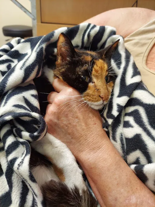 Primary Care Animal Hospital Picture 5