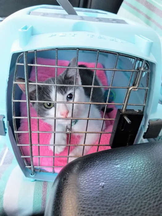 Primary Care Animal Hospital Picture 6