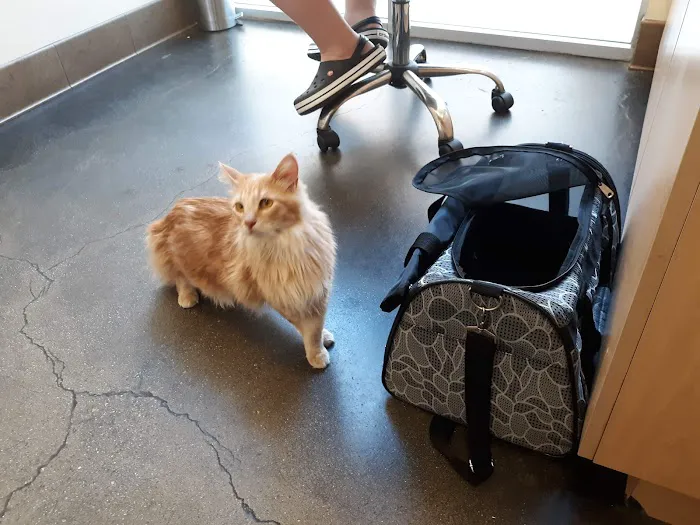 Primary Care Animal Hospital Picture 7