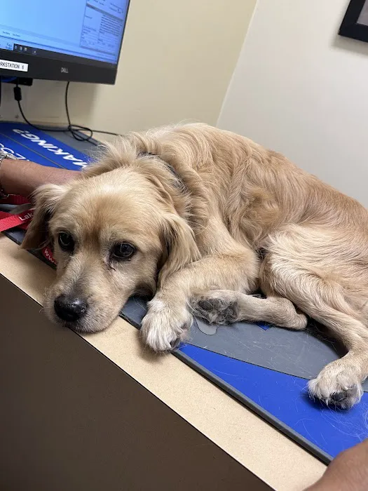 Long Beach Animal Hospital Picture 6