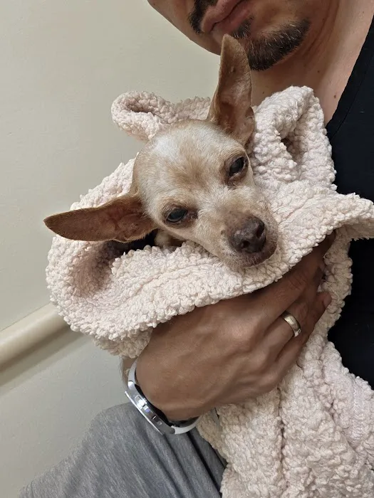 Long Beach Animal Hospital Picture 7
