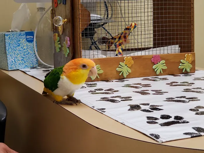 Long Beach Animal Hospital Picture 9