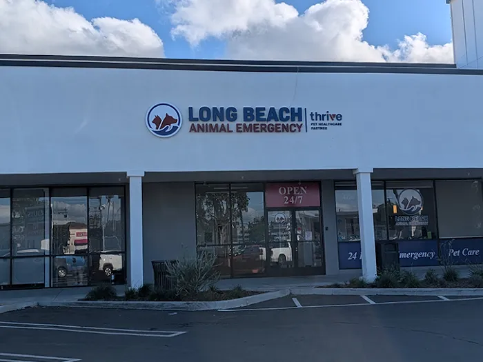 Long Beach Animal Emergency Picture 9