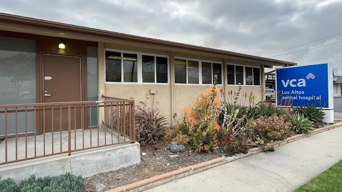 VCA Los Altos Animal Hospital Picture 3