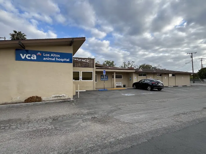 VCA Los Altos Animal Hospital Picture 2