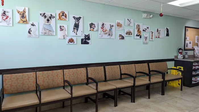 VCA Los Altos Animal Hospital Picture 1