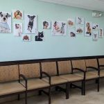 VCA Los Altos Animal Hospital