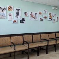 VCA Los Altos Animal Hospital ico