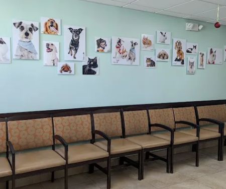 VCA Los Altos Animal Hospital